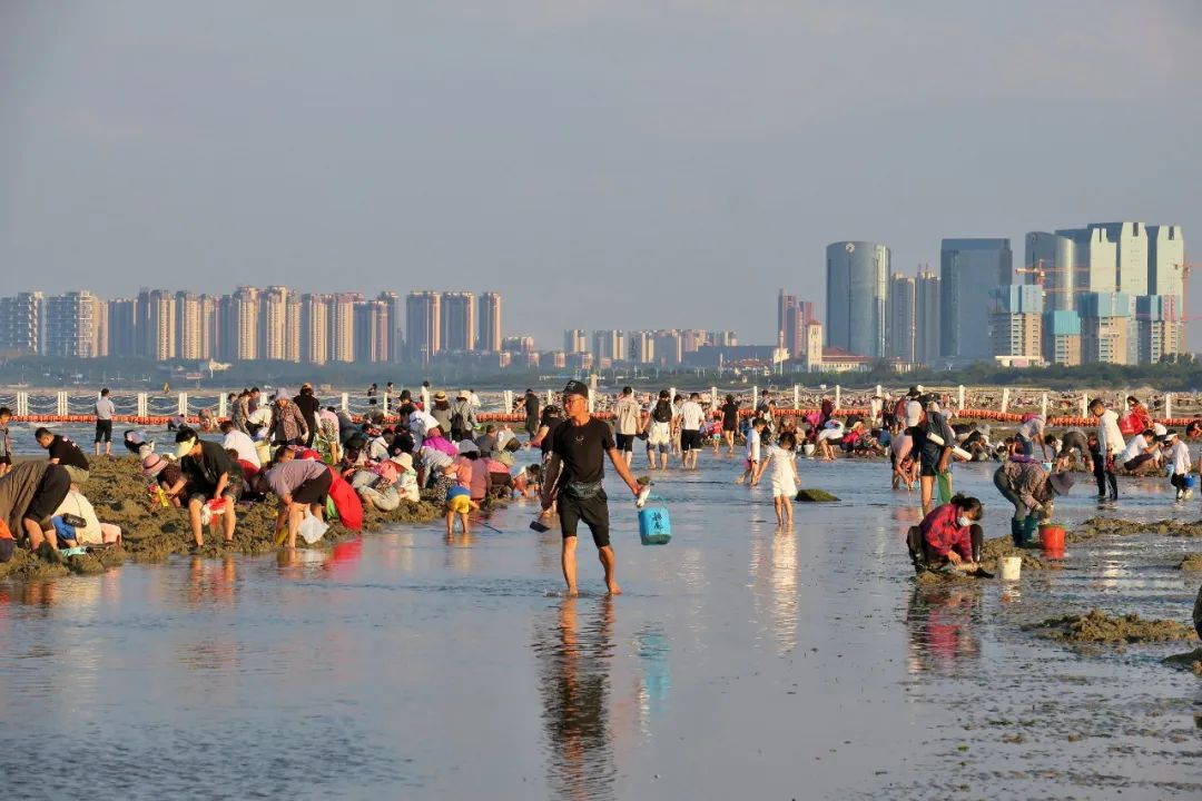 烟台第一海水浴场赶海图片