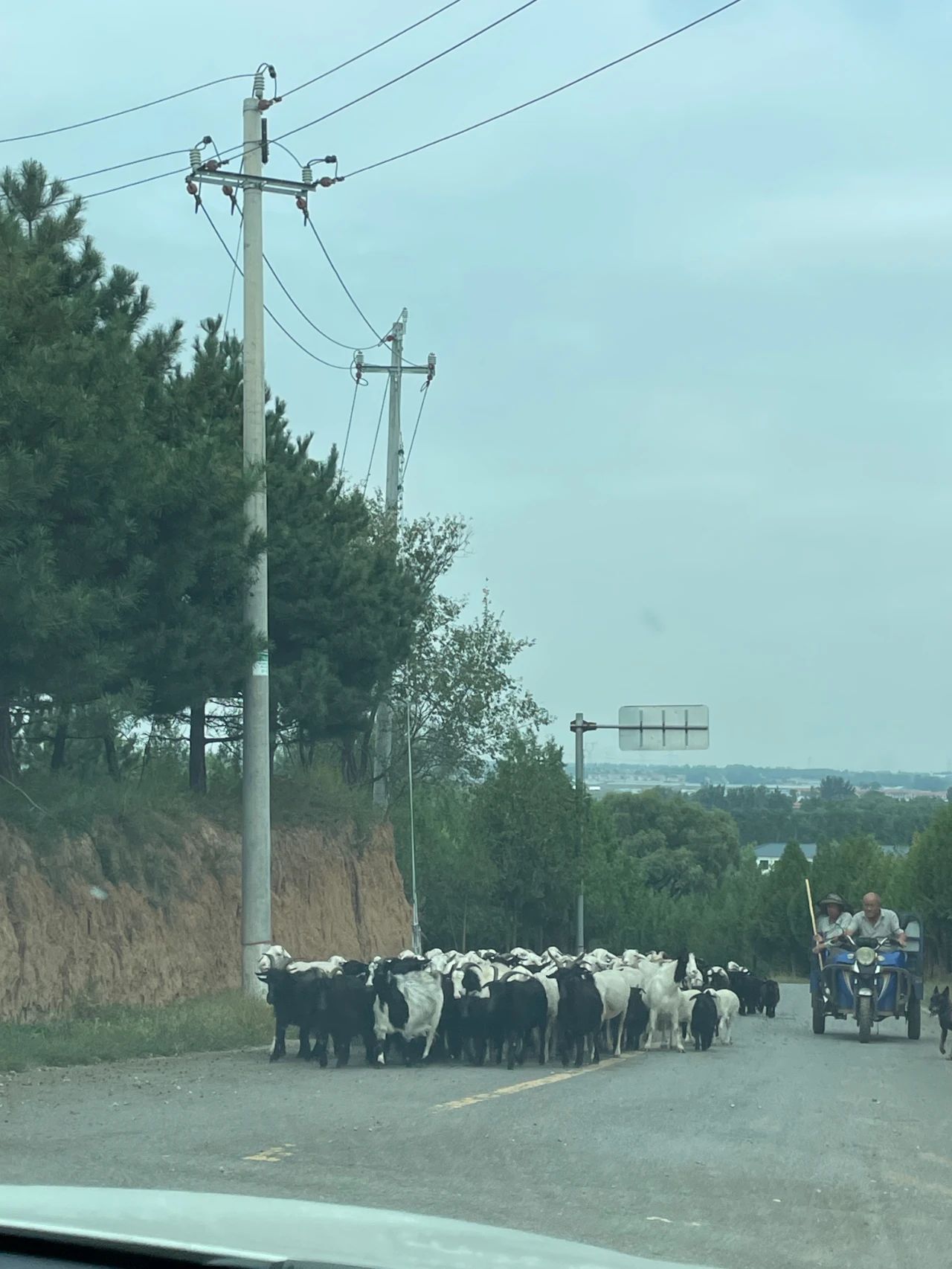 去县城旅游是没苦硬吃吗