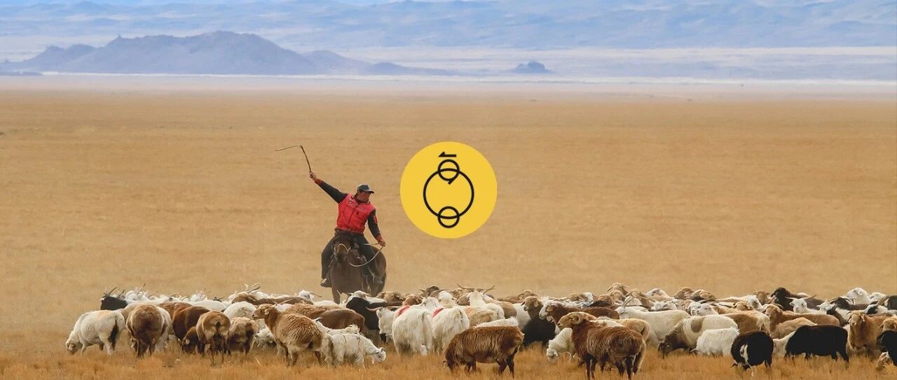 我和爸妈之间，隔着一首《可可托海的牧羊人》