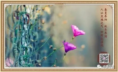 激光疗法有什么作用物理因子之——激光疗法_https://www.jmylbn.com_新闻资讯_第10张