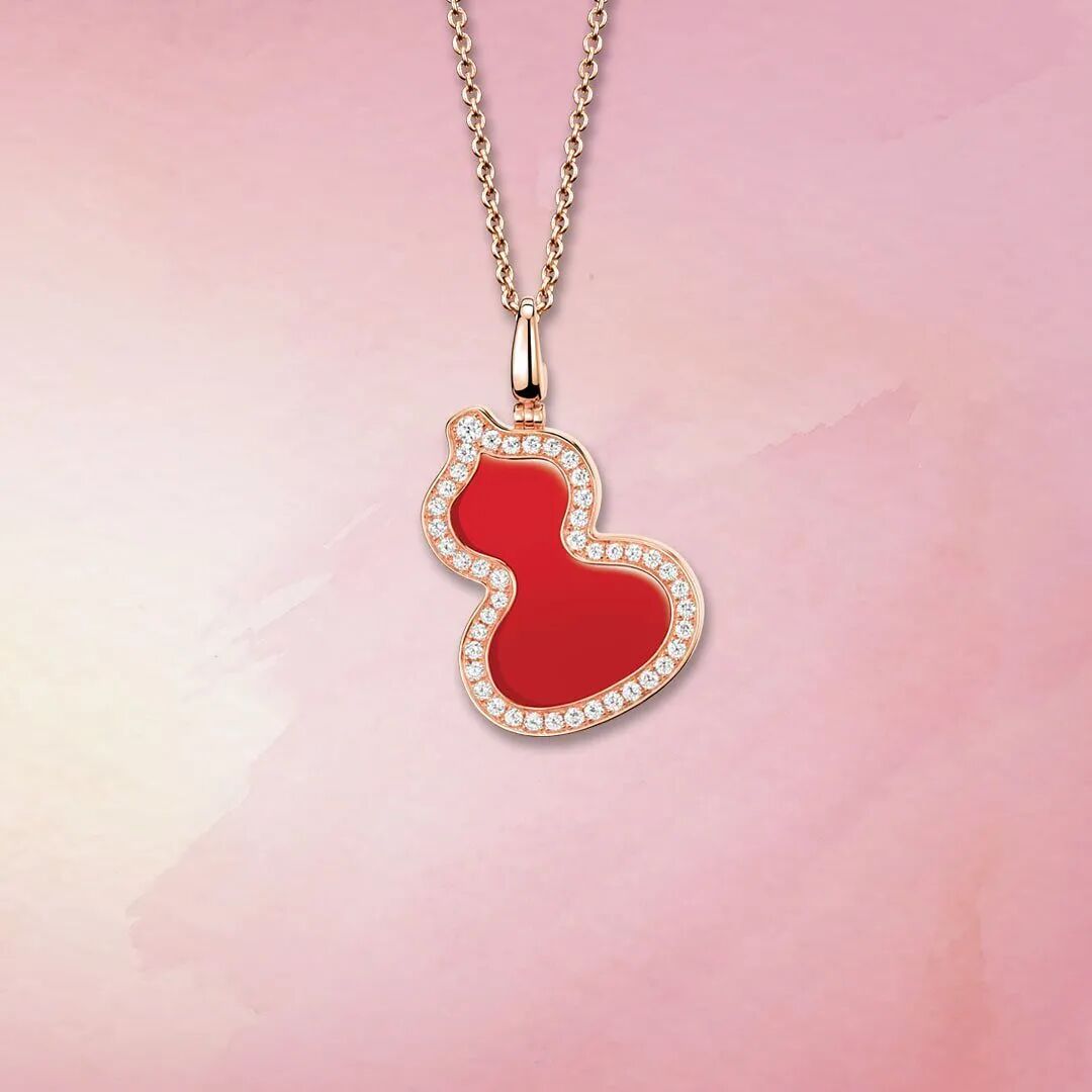 你的包真好看 - 瓦斯阅读