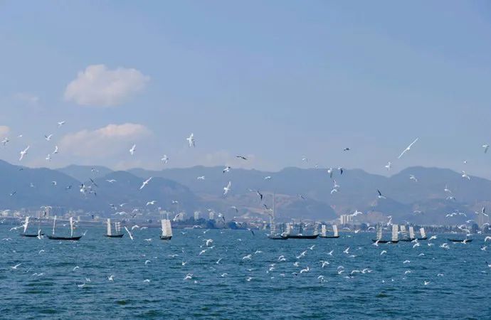 【春城秀】昆明经典旅游攻略，一篇带你玩转春城美景!