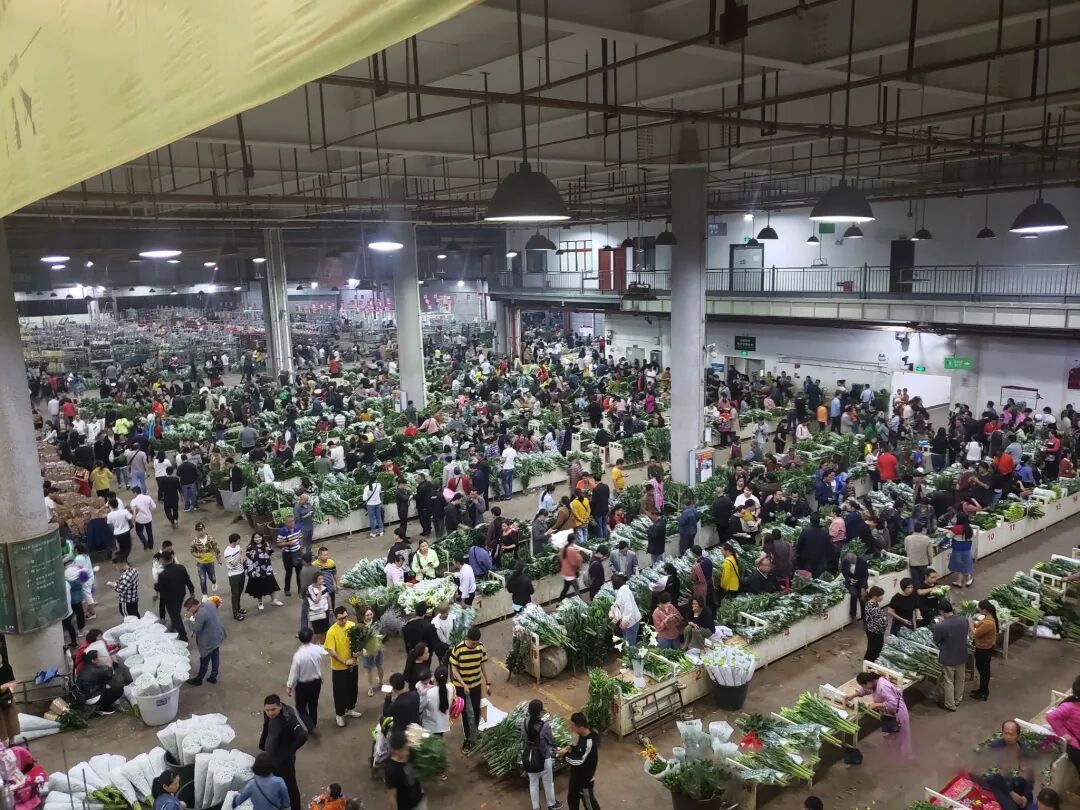 【春城秀】昆明经典旅游攻略，一篇带你玩转春城美景!