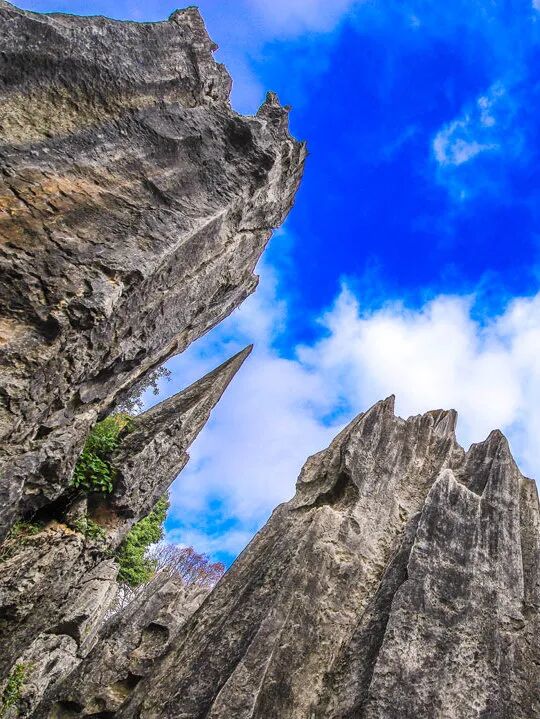 【春城秀】昆明经典旅游攻略，一篇带你玩转春城美景!