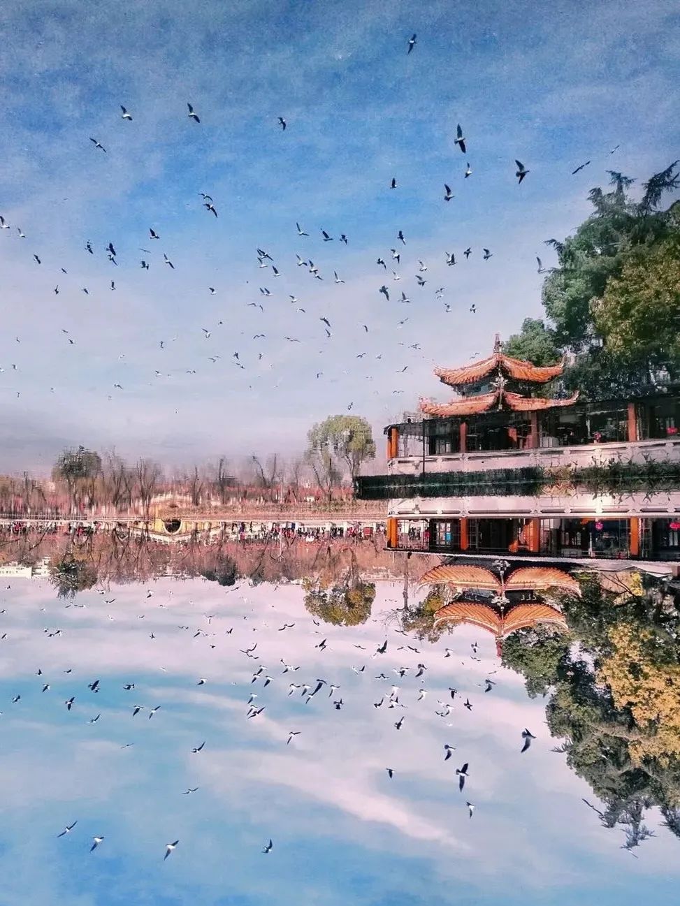 【春城秀】昆明经典旅游攻略，一篇带你玩转春城美景!