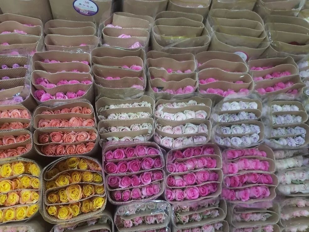 【春城秀】昆明经典旅游攻略，一篇带你玩转春城美景!