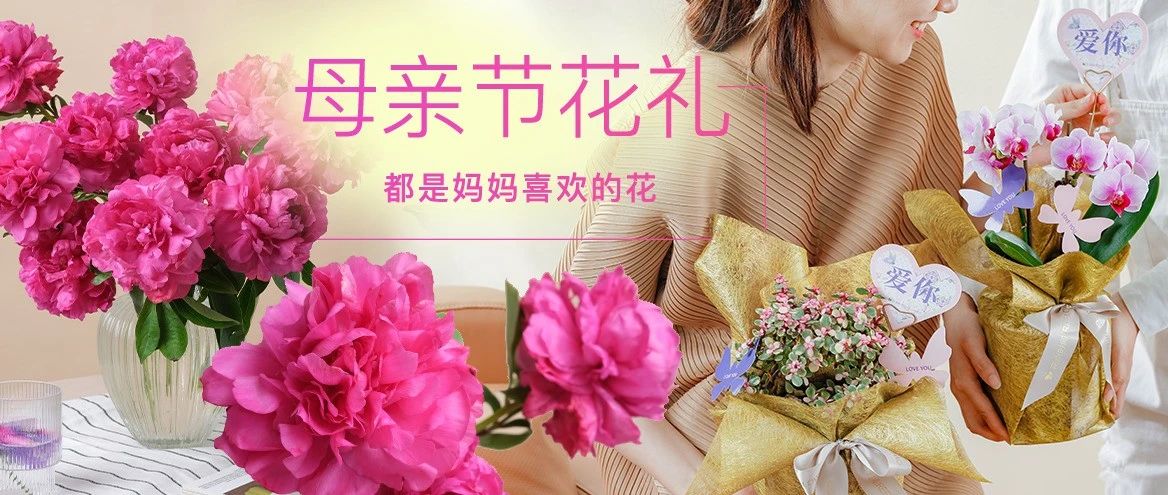 母亲节¥6.9/10枝母爱芍药,送800盆蝴蝶兰！