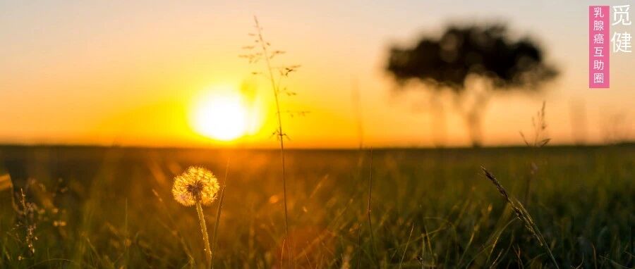 妈妈三战乳腺癌，女儿含泪自述：人生是有光的！