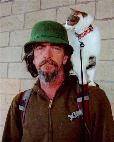 「另一個鮑勃」：一隻流浪貓與一個流浪漢，一場3600英裡的救贖！ 寵物 第8張