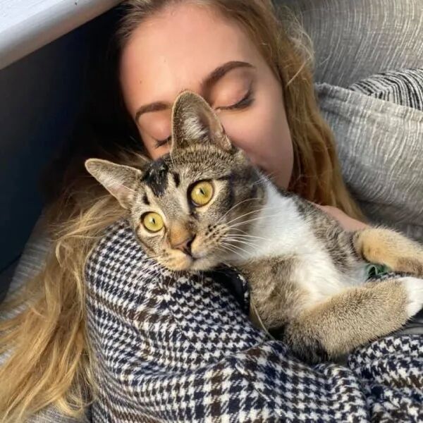 猫回家还带回一整包猫零食 麻麻好傻眼 附近没人养猫啊 动物世界微信公众号文章