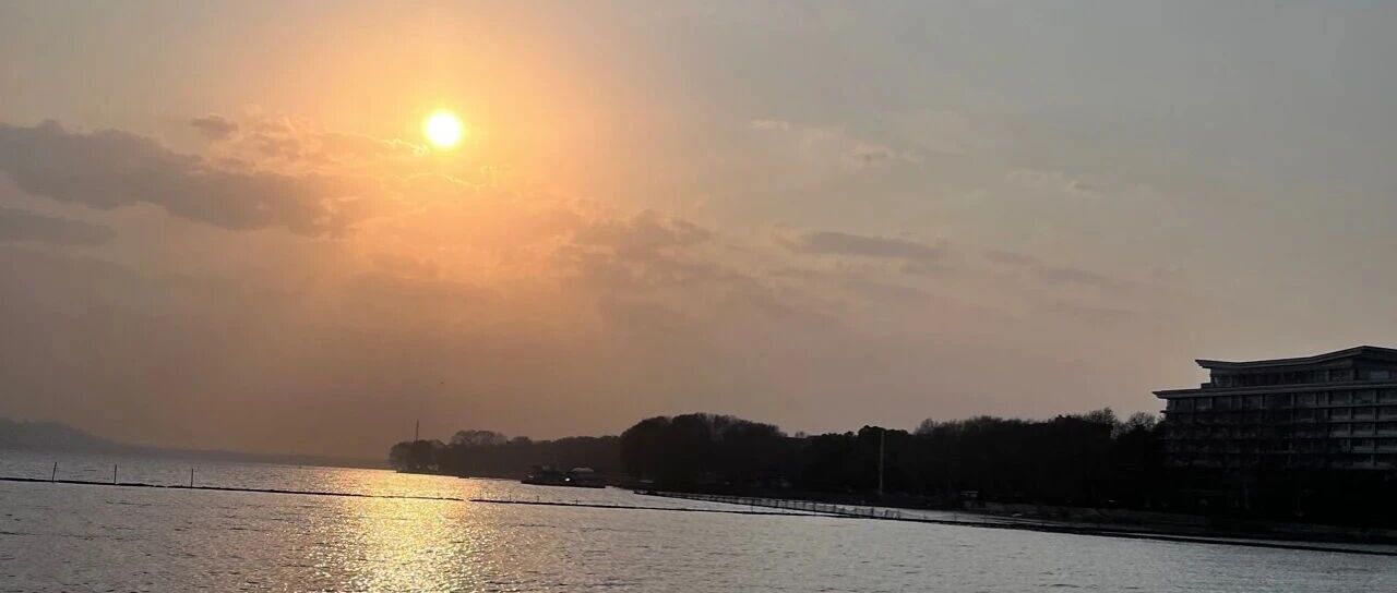 cover_image