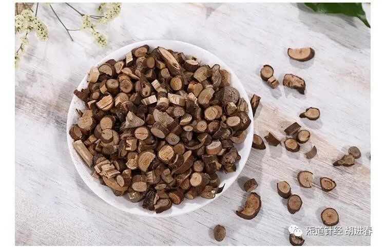 每日学习一味中药：桂枝