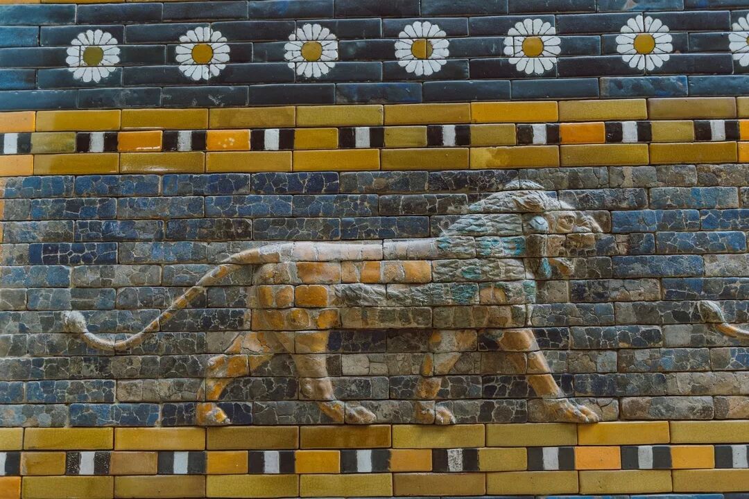 上了这座岛，不再理会世间的喧嚣