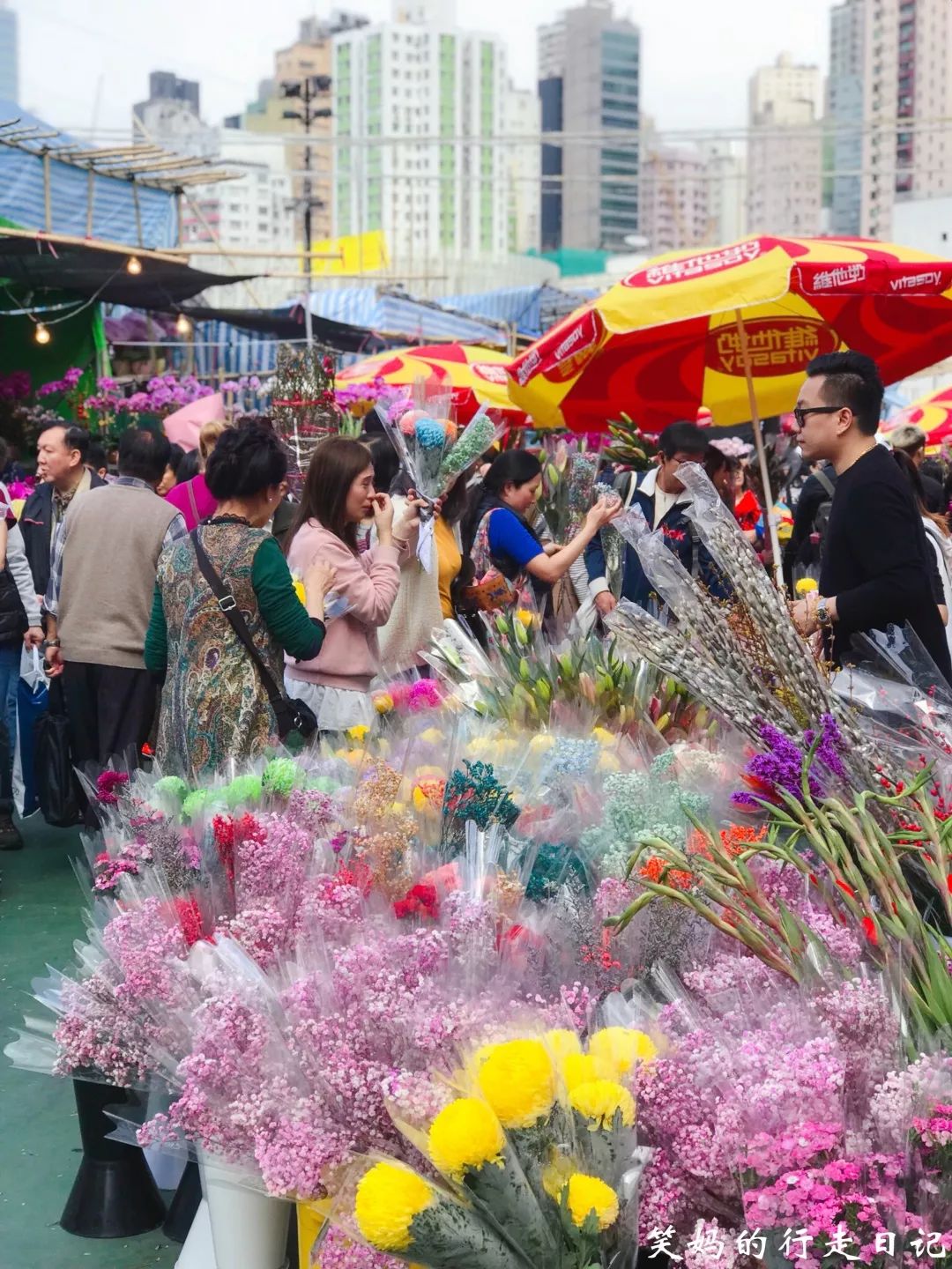 花蓮酒店推薦2019 /旅行丨在香港、澳門、台灣過春節分別是種怎樣的體驗？ 旅行 第19張
