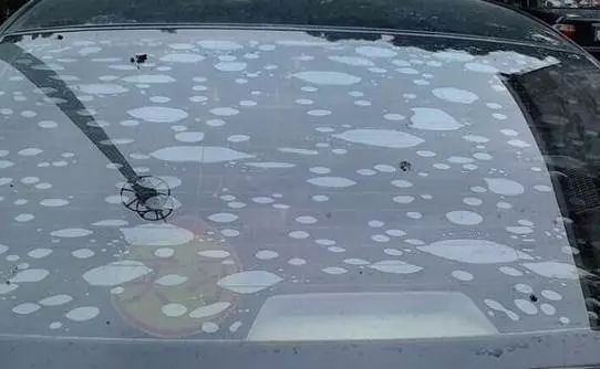 登录查看大图