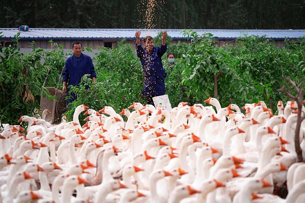 新疆地矿局全力推进地质事业高质量发展的图9