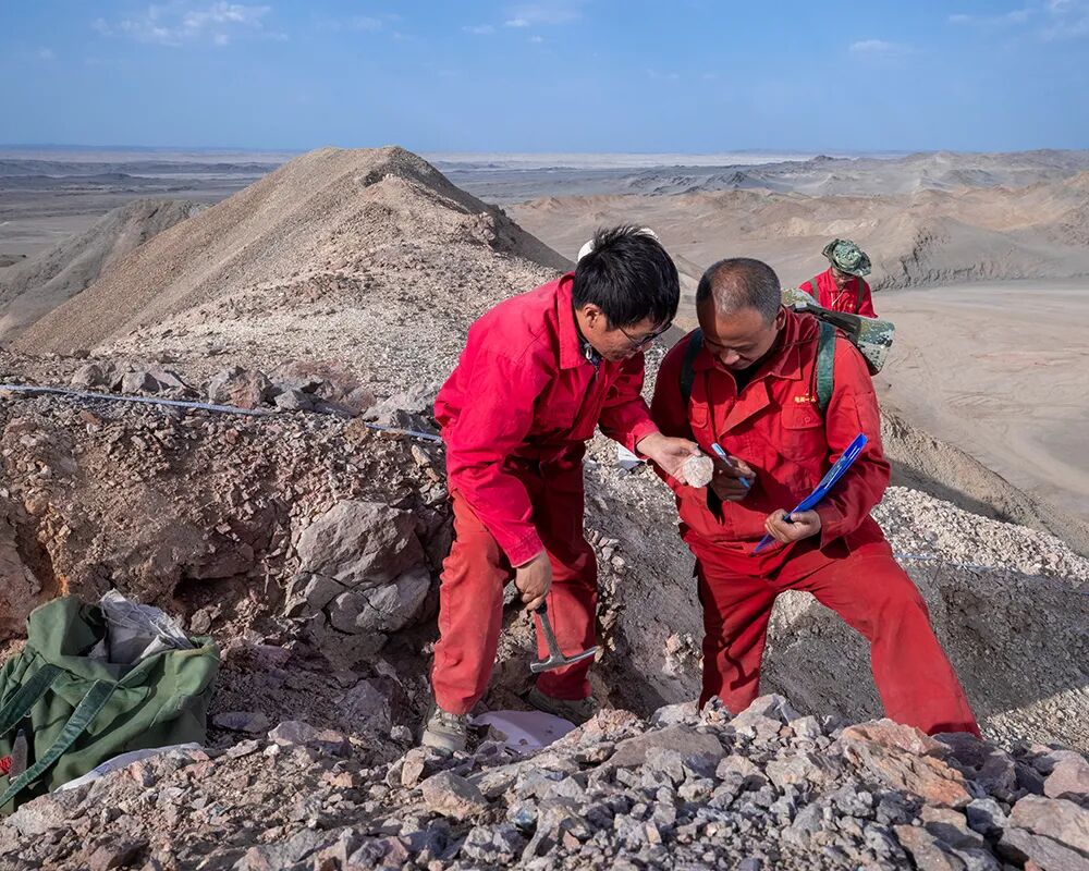 新疆地矿局全力推进地质事业高质量发展的图5