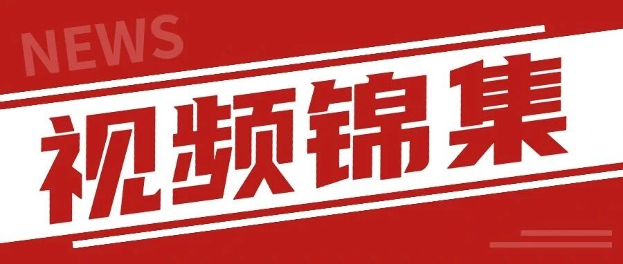 近期的视频内容锦集