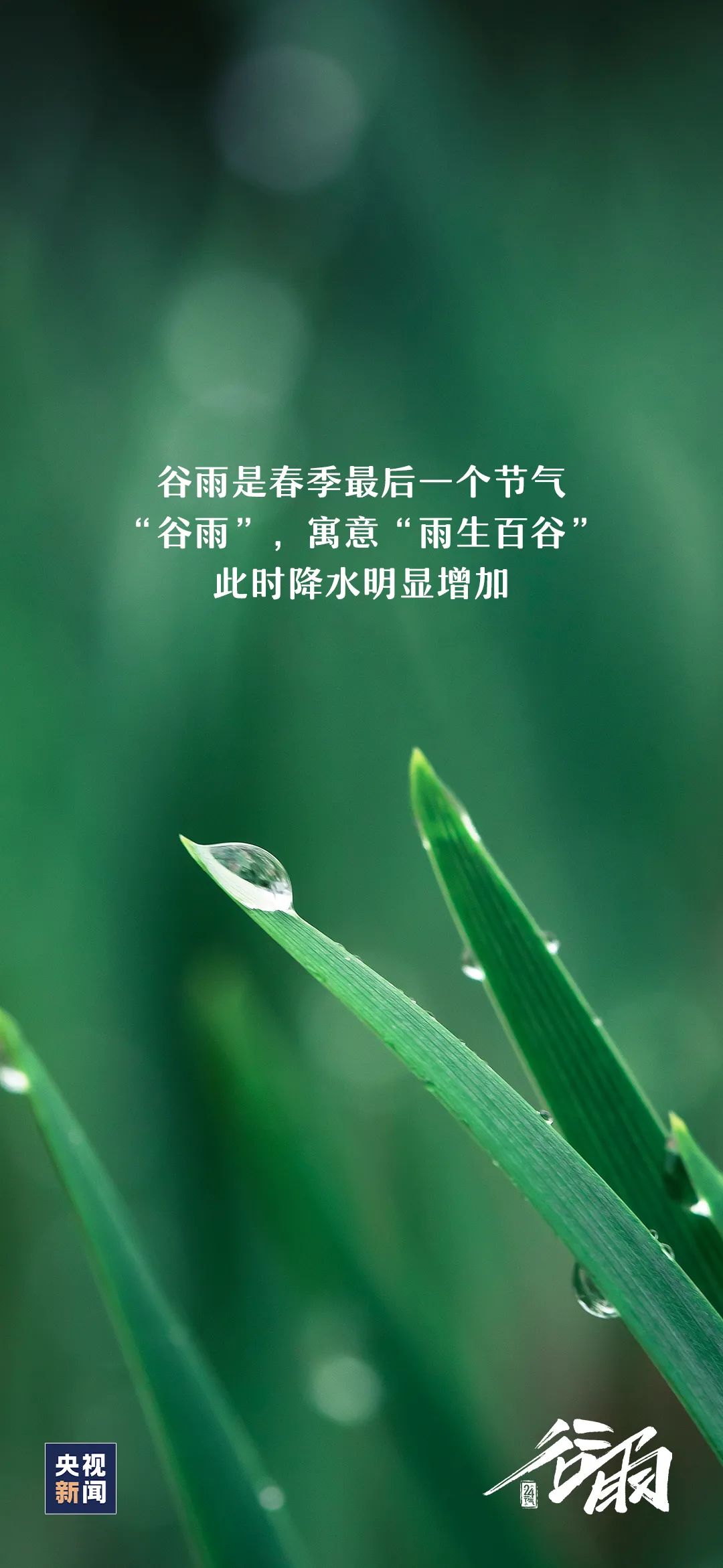 临沂河东天气