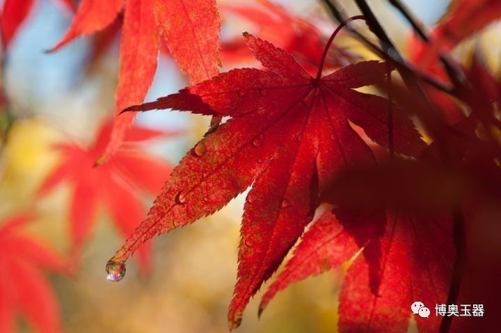 袅袅凉风动 凄凄寒露零-珠宝玉石鉴定师培训核心内容