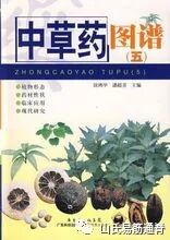 中药材大全名称和图片