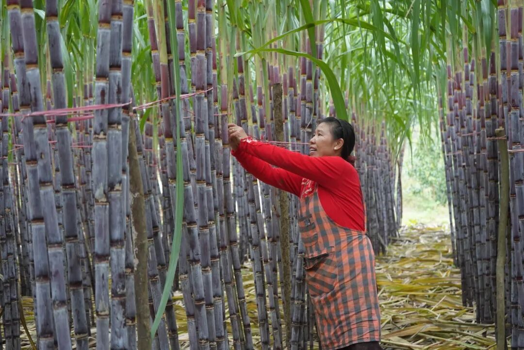 ""