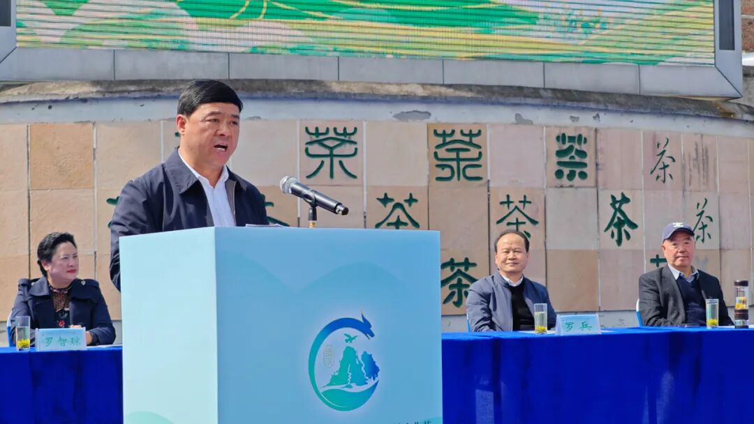 高校与地方联姻产业和文化相融2024贵州金沙贡茶清池采茶文化节开幕