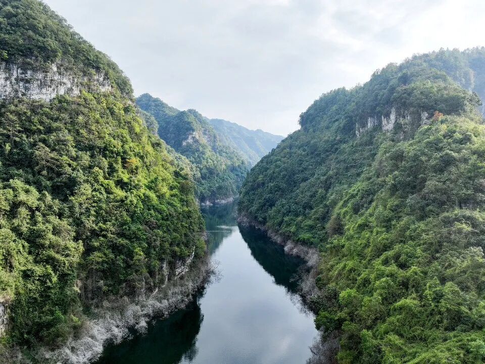 四季毕节五彩金沙金沙油沙河水库满目皆绿风光美