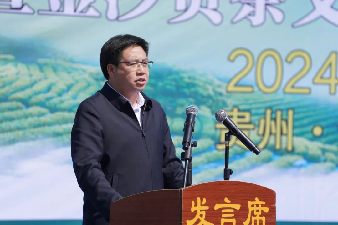 全县2024年春季万人双手采茶技能竞赛决赛暨金沙贡茶文