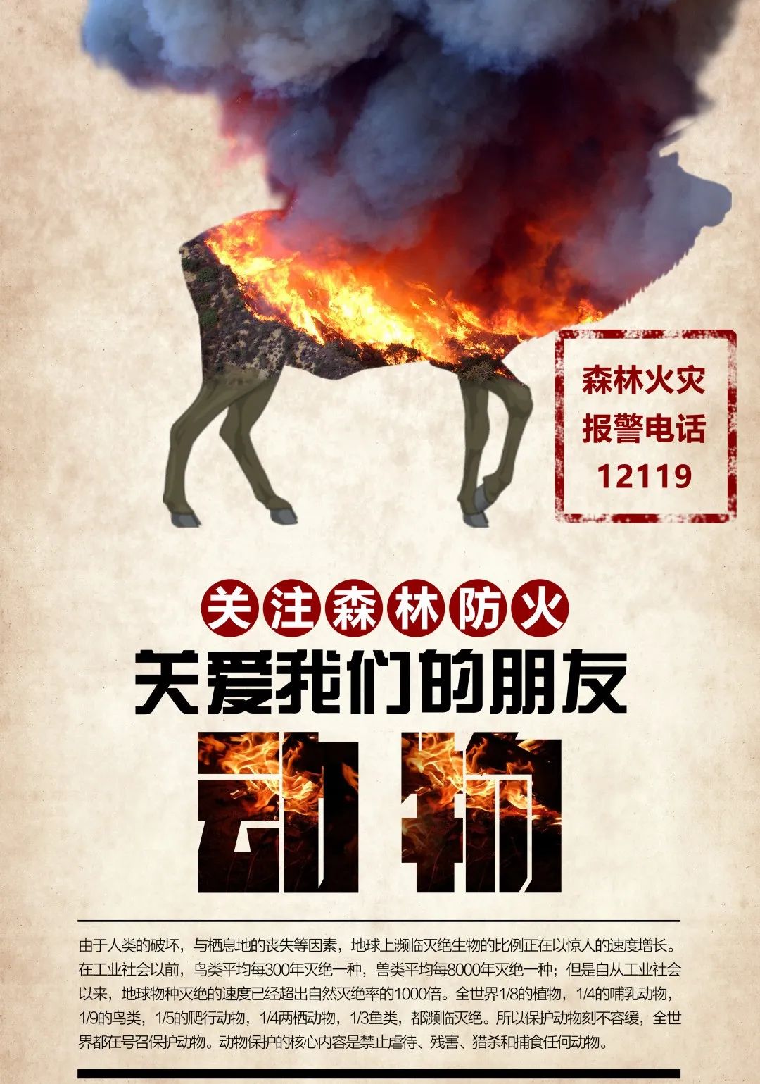森林防火知識,請牢記!