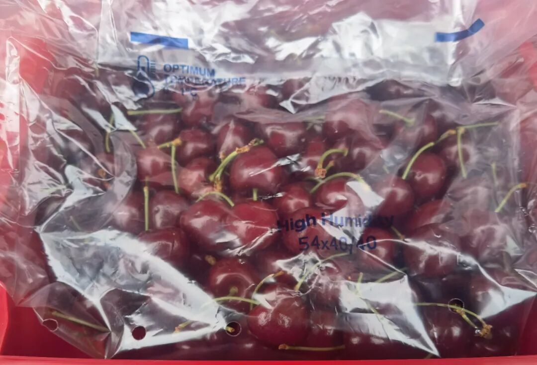 “秋冬顶流”“抢鲜”登场