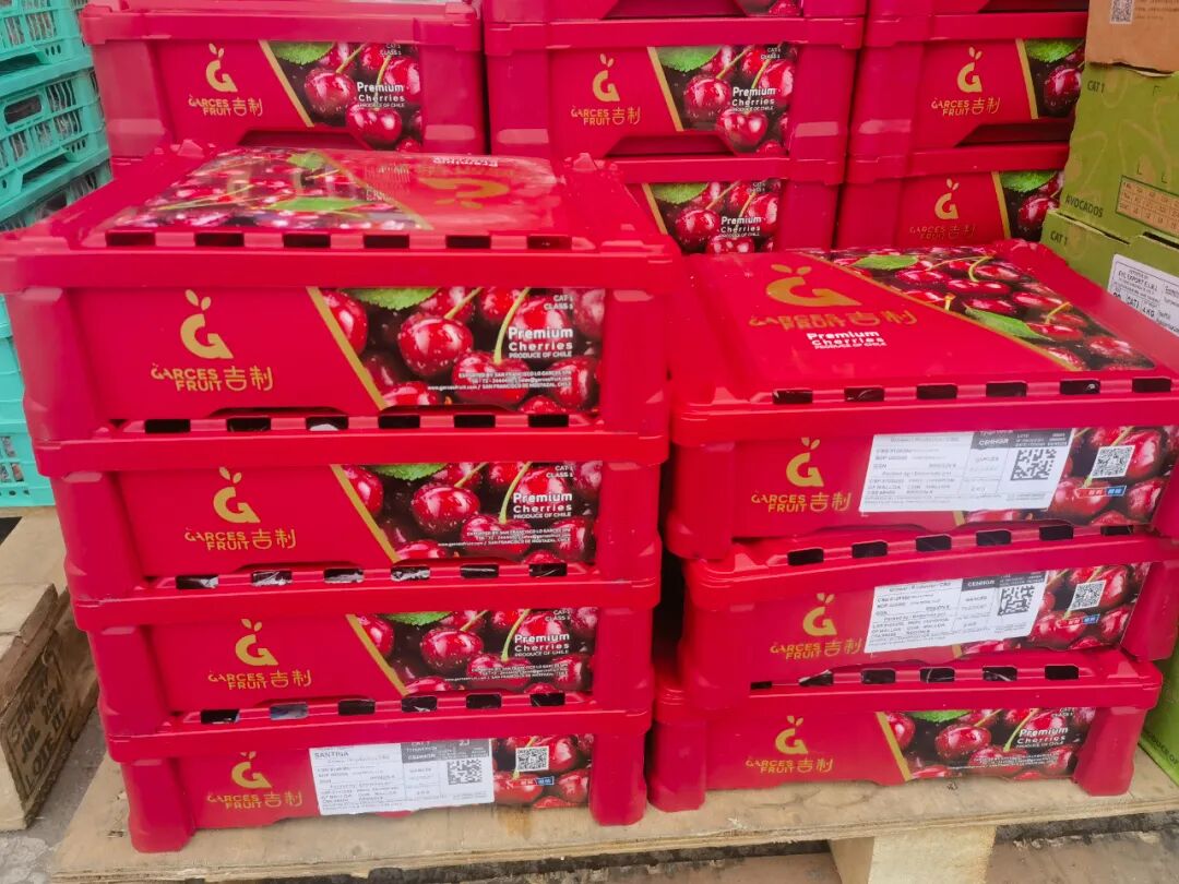 “秋冬顶流”“抢鲜”登场