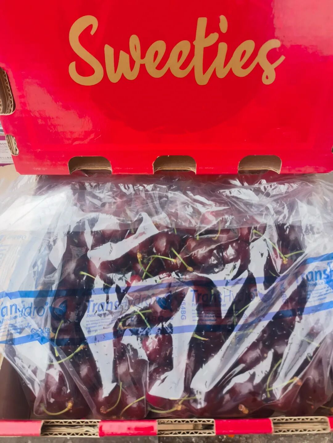 “秋冬顶流”“抢鲜”登场