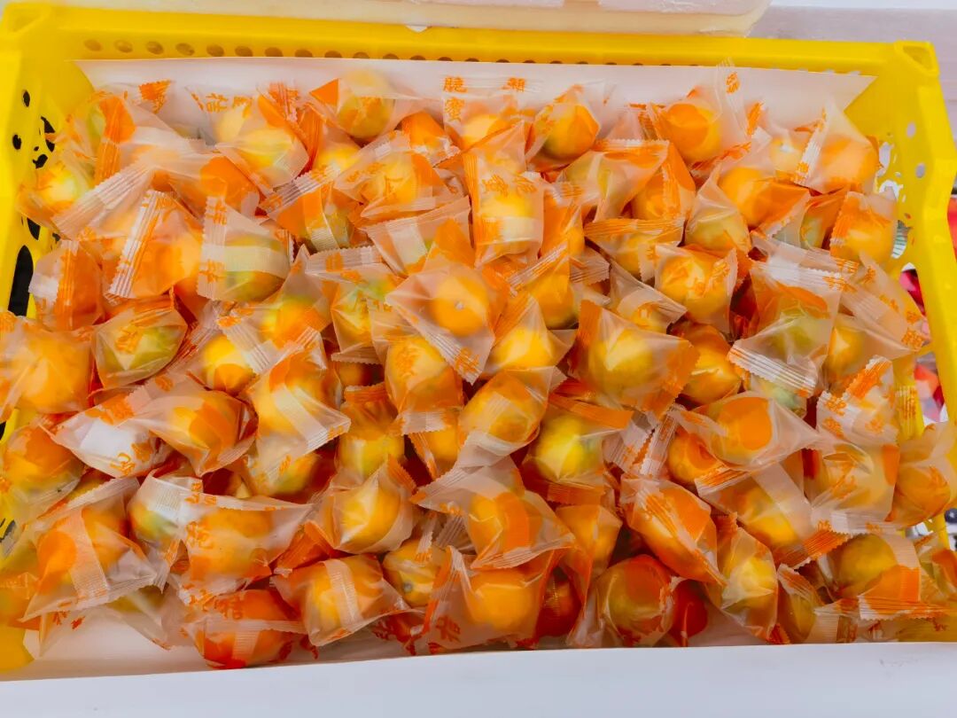 它，或许是柑桔界下一个“爆品”！