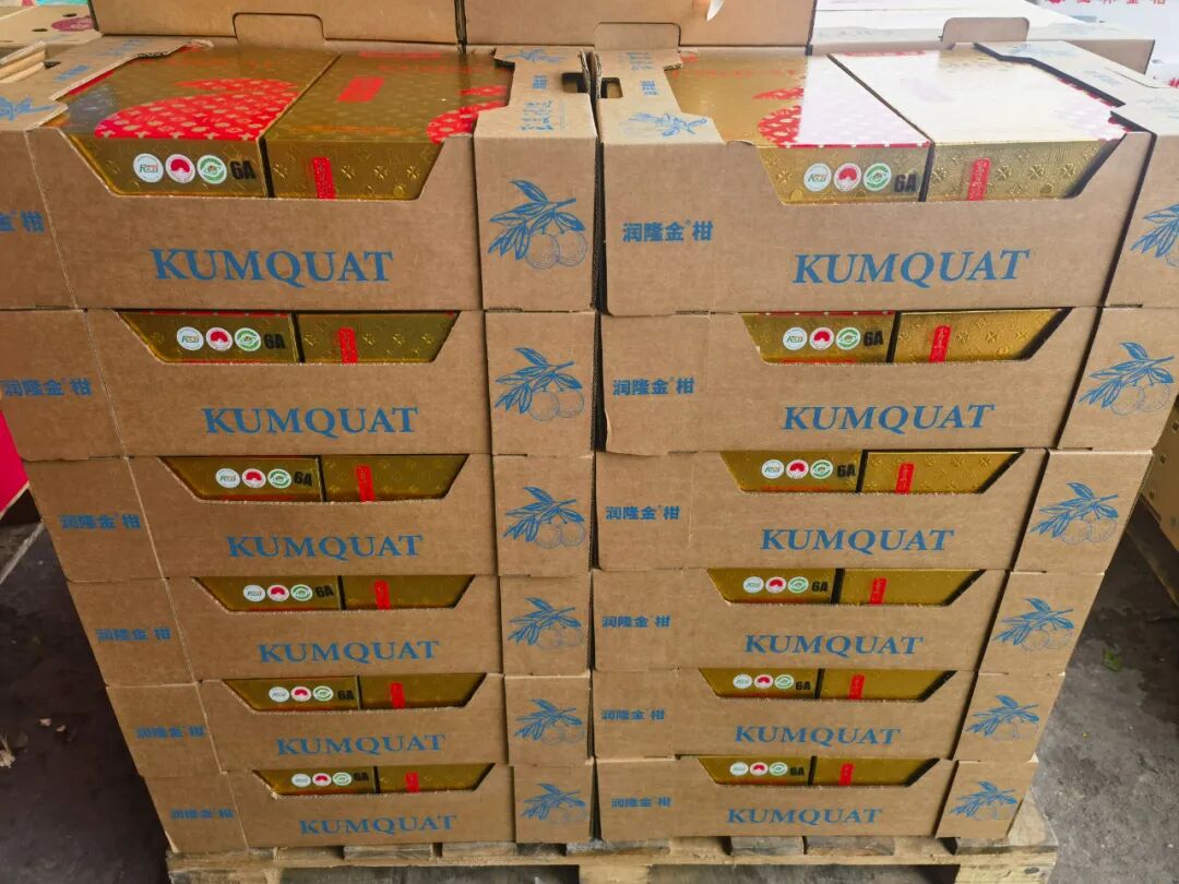 它，或许是柑桔界下一个“爆品”！