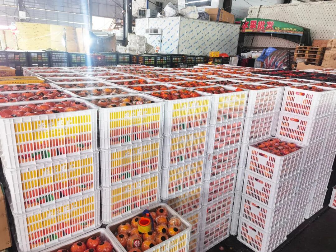 吃不过来！初冬时令“果篮”已更新