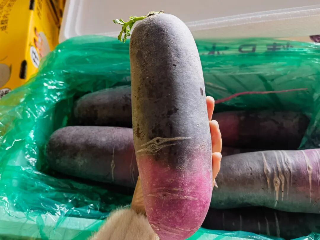 吃不过来！初冬时令“果篮”已更新