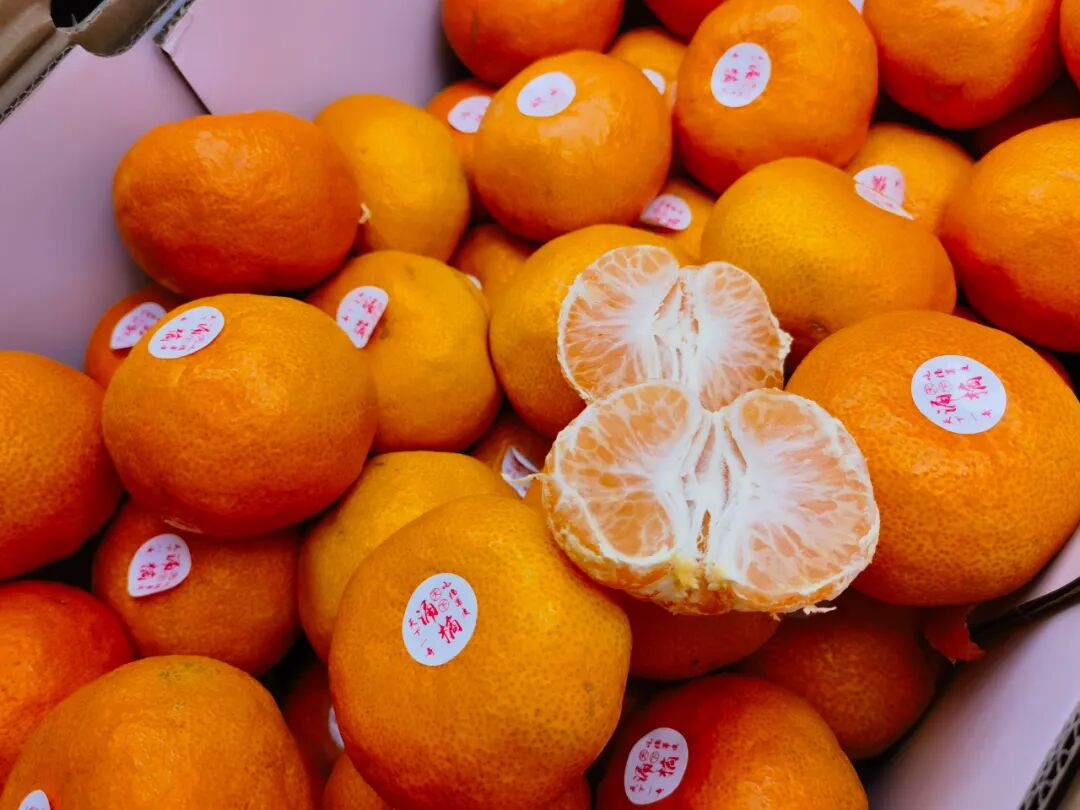 吃不过来！初冬时令“果篮”已更新