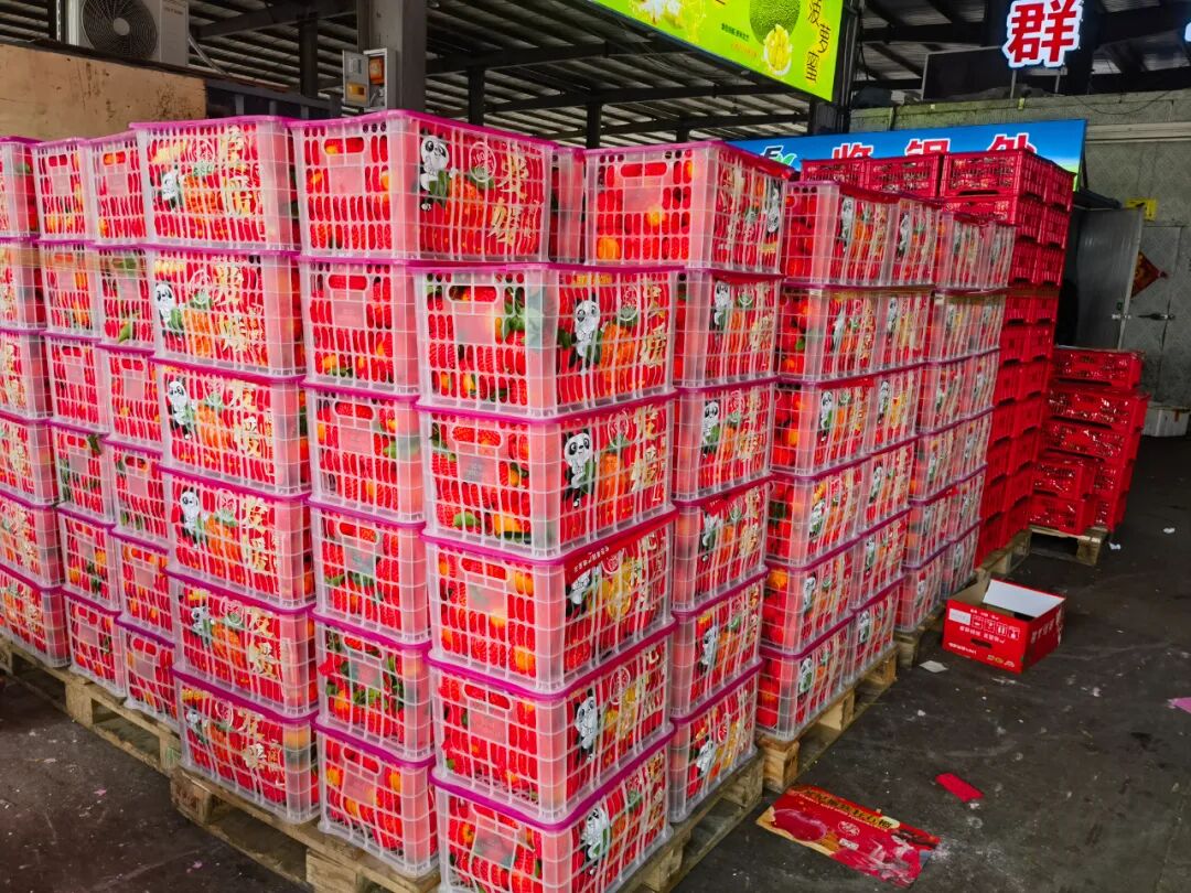 吃不过来！初冬时令“果篮”已更新