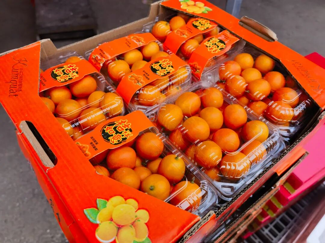 吃不过来！初冬时令“果篮”已更新