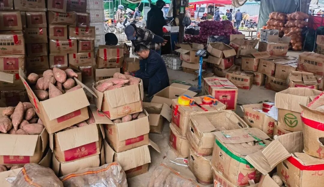 天一冷，甜到全网流口水的它们就登场了