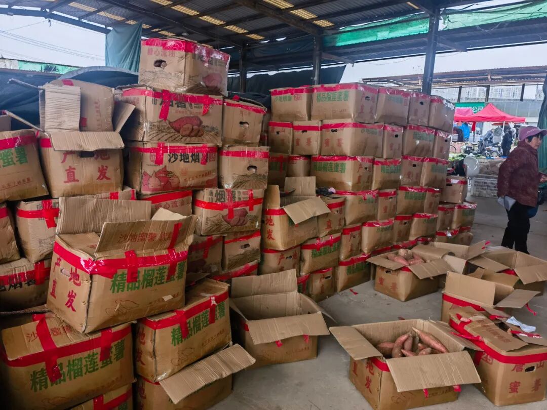 天一冷，甜到全网流口水的它们就登场了