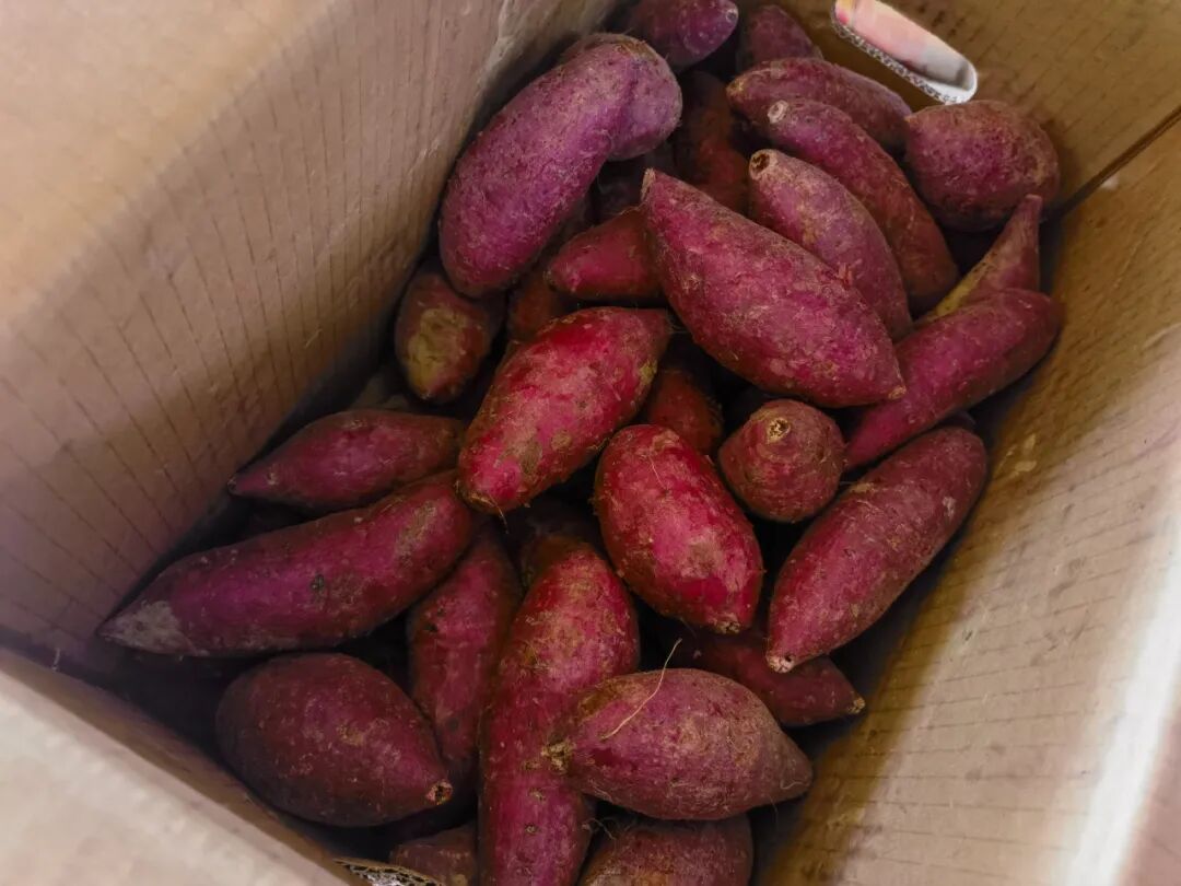 天一冷，甜到全网流口水的它们就登场了