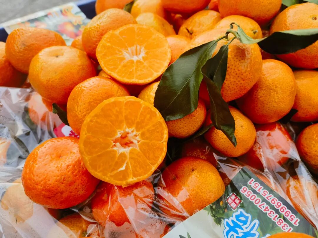 “全网都在催”的广西沙糖桔已上市，快来尝鲜