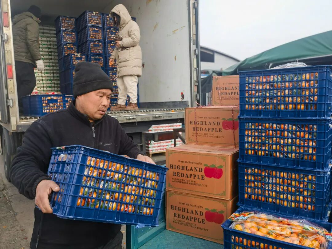 “全网都在催”的广西沙糖桔已上市，快来尝鲜