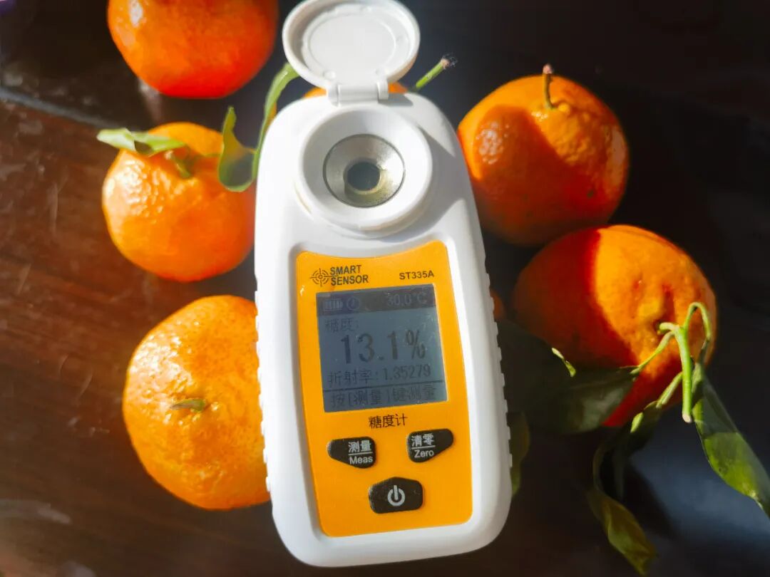 “全网都在催”的广西沙糖桔已上市，快来尝鲜