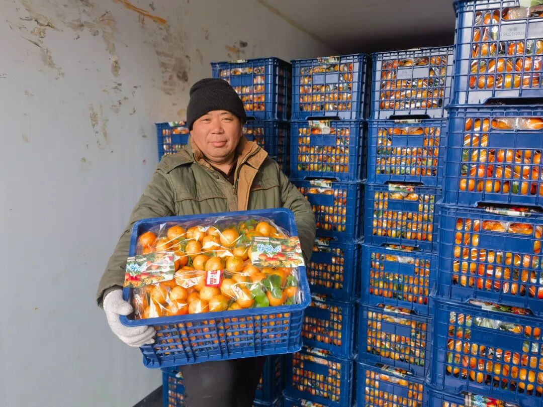 “全网都在催”的广西沙糖桔已上市，快来尝鲜