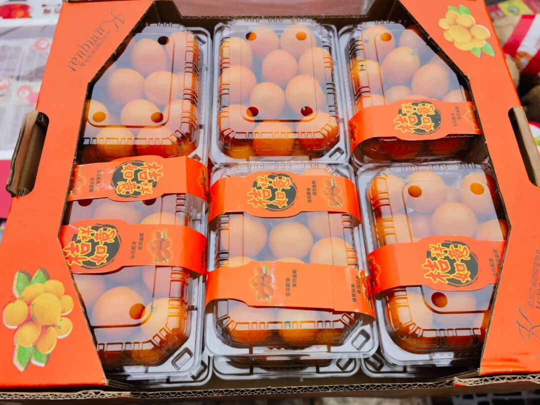 冬日柑橘季，谁是你的心头好