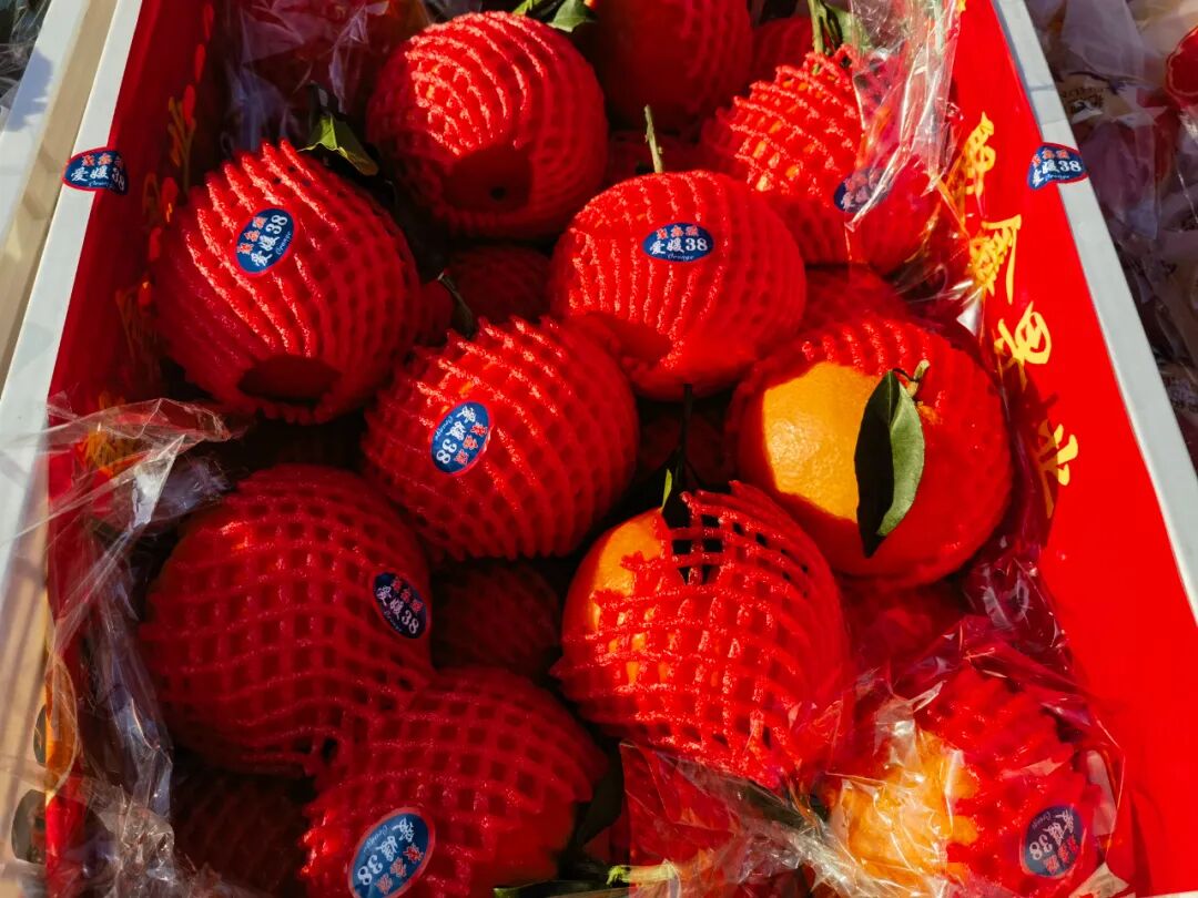 冬日柑橘季，谁是你的心头好