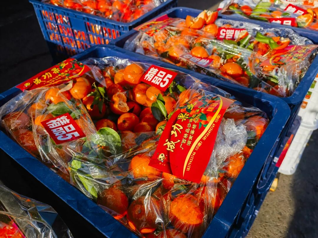 冬日柑橘季，谁是你的心头好